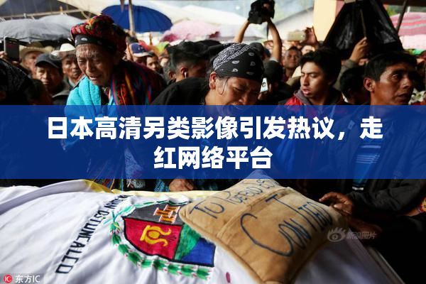 日本高清另类影像引发热议，走红网络平台