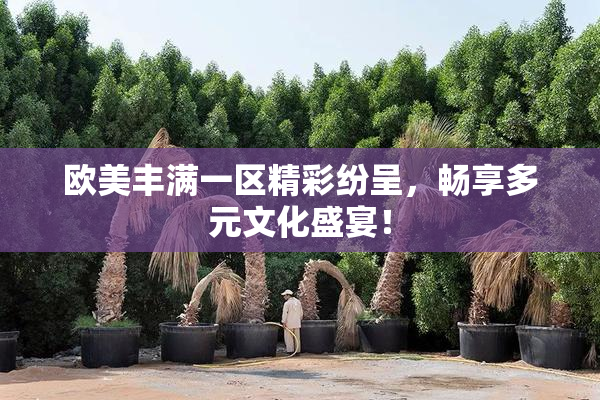 欧美丰满一区精彩纷呈，畅享多元文化盛宴！