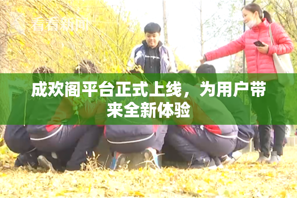 成欢阁平台正式上线，为用户带来全新体验