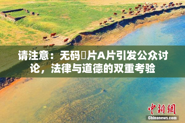 请注意：无码婬片A片引发公众讨论，法律与道德的双重考验
