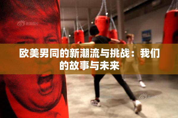 欧美男同的新潮流与挑战：我们的故事与未来