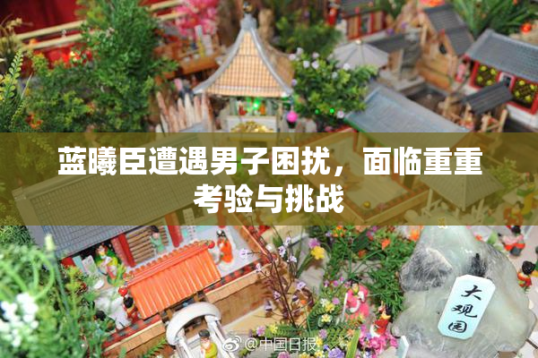 蓝曦臣遭遇男子困扰，面临重重考验与挑战