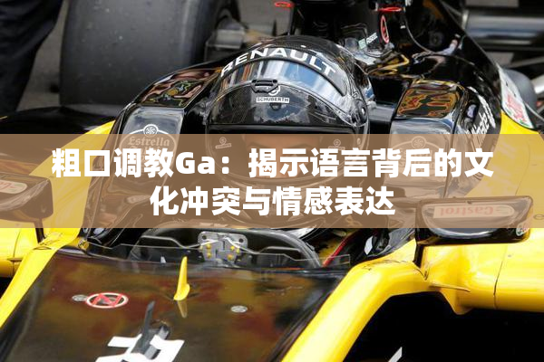 粗口调教Ga：揭示语言背后的文化冲突与情感表达