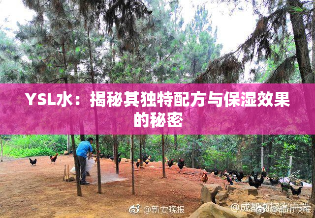 YSL水：揭秘其独特配方与保湿效果的秘密