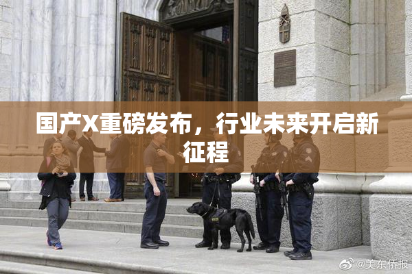 国产X重磅发布，行业未来开启新征程