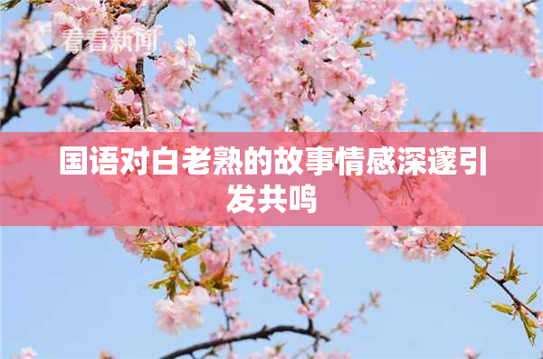 国语对白老熟的故事情感深邃引发共鸣