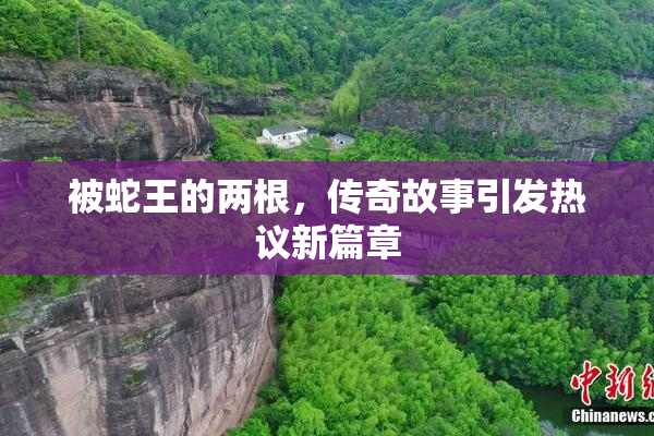 被蛇王的两根，传奇故事引发热议新篇章