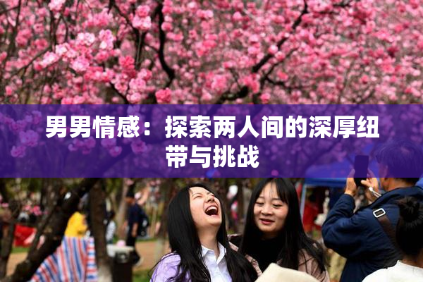 男男情感：探索两人间的深厚纽带与挑战