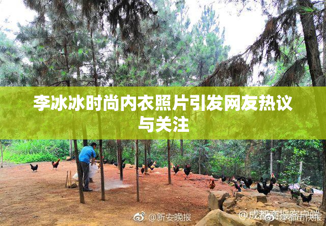 李冰冰时尚内衣照片引发网友热议与关注