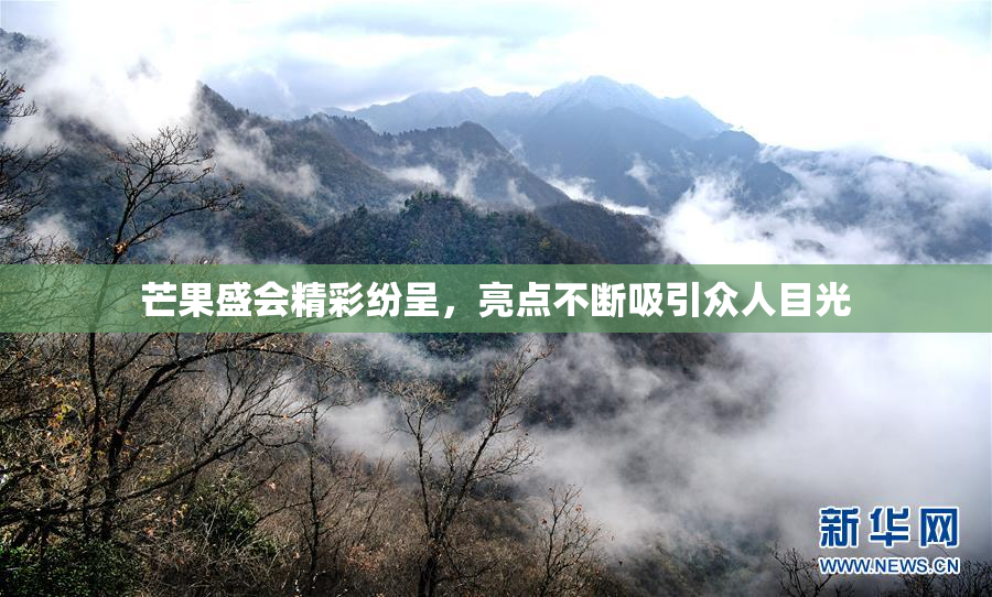 芒果盛会精彩纷呈，亮点不断吸引众人目光