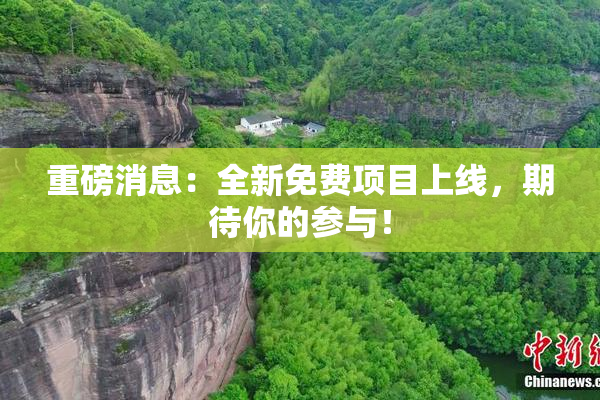 重磅消息：全新免费项目上线，期待你的参与！
