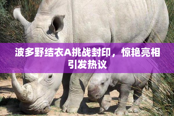 波多野结衣A挑战封印，惊艳亮相引发热议