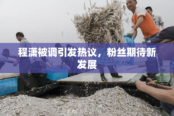程潇被调引发热议，粉丝期待新发展