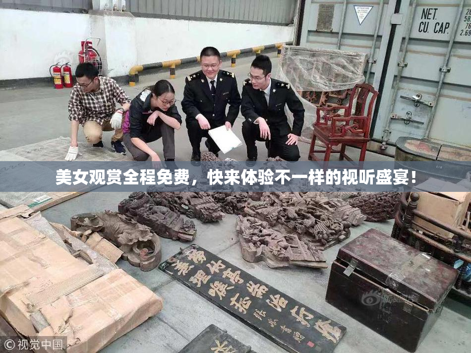 美女观赏全程免费，快来体验不一样的视听盛宴！