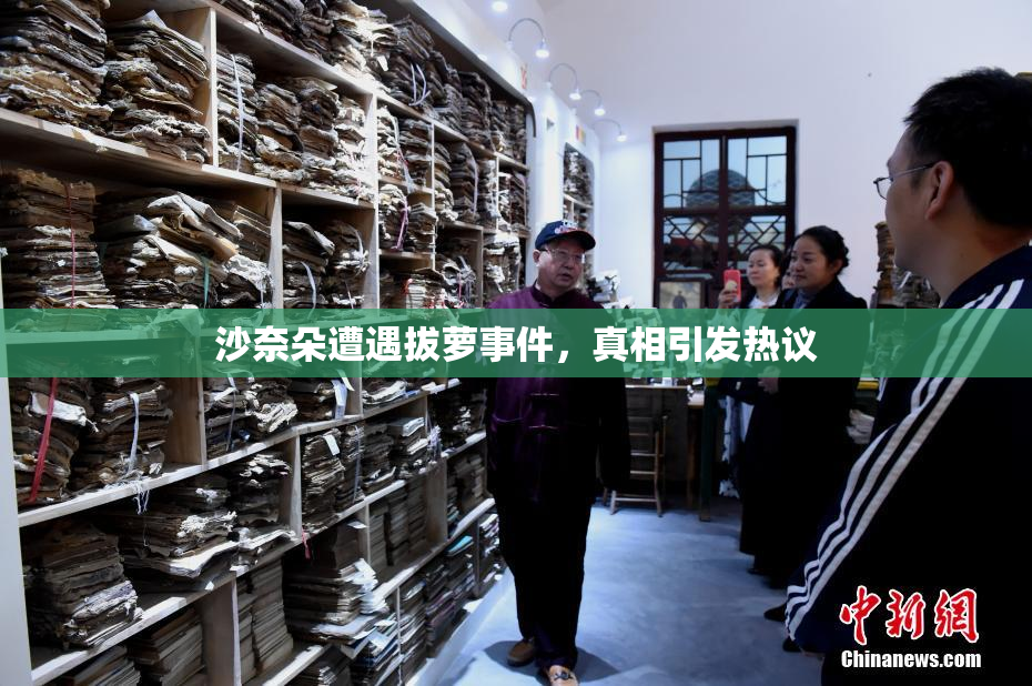 沙奈朵遭遇拔萝事件，真相引发热议