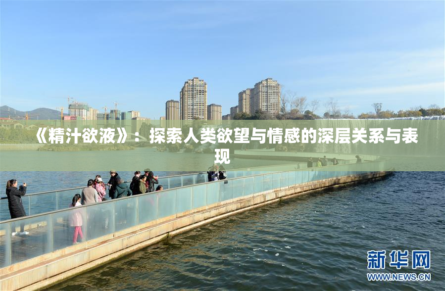 《精汁欲液》：探索人类欲望与情感的深层关系与表现