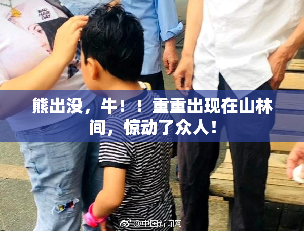 熊出没，牛！！重重出现在山林间，惊动了众人！