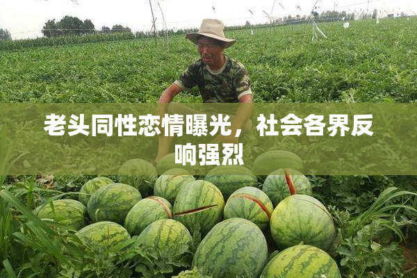 老头同性恋情曝光，社会各界反响强烈