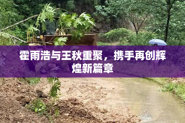 霍雨浩与王秋重聚，携手再创辉煌新篇章