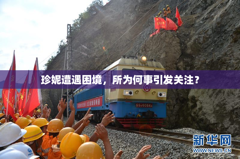 珍妮遭遇困境，所为何事引发关注？