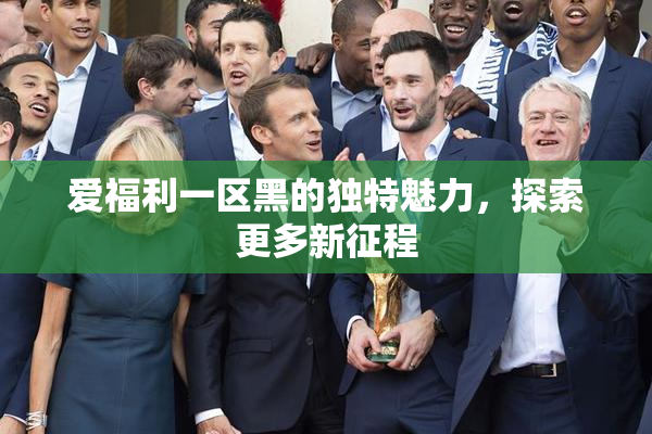 爱福利一区黑的独特魅力，探索更多新征程