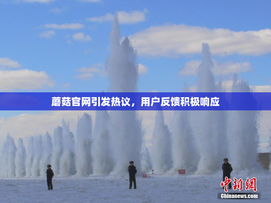 蘑菇官网引发热议，用户反馈积极响应