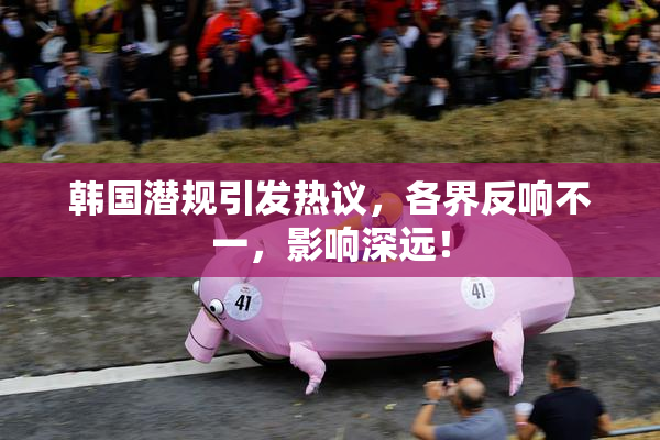 韩国潜规引发热议，各界反响不一，影响深远！