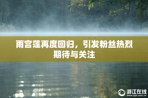 雨宫莲再度回归，引发粉丝热烈期待与关注
