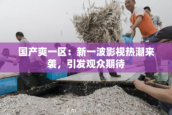 国产爽一区：新一波影视热潮来袭，引发观众期待