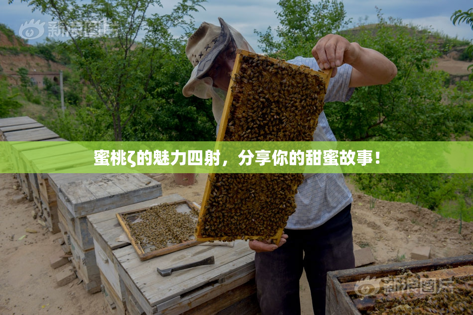 蜜桃ζ的魅力四射，分享你的甜蜜故事！
