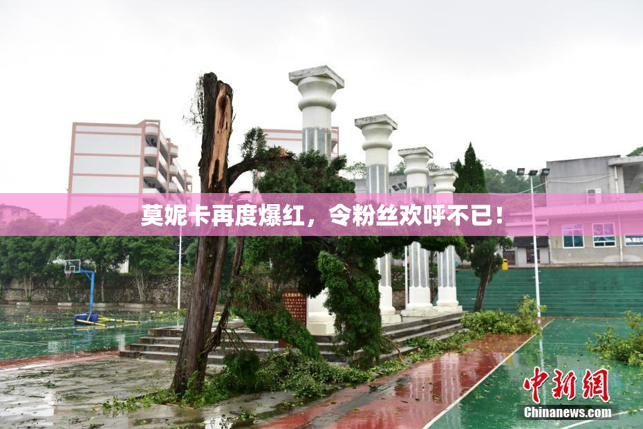 莫妮卡再度爆红，令粉丝欢呼不已！