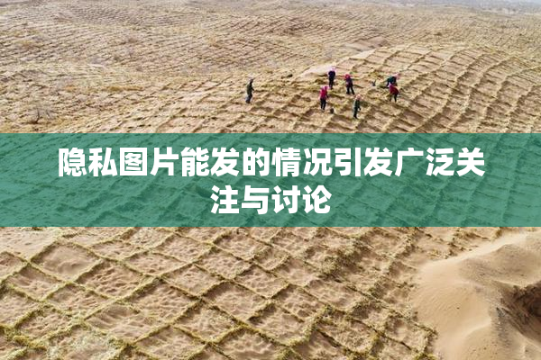 隐私图片能发的情况引发广泛关注与讨论