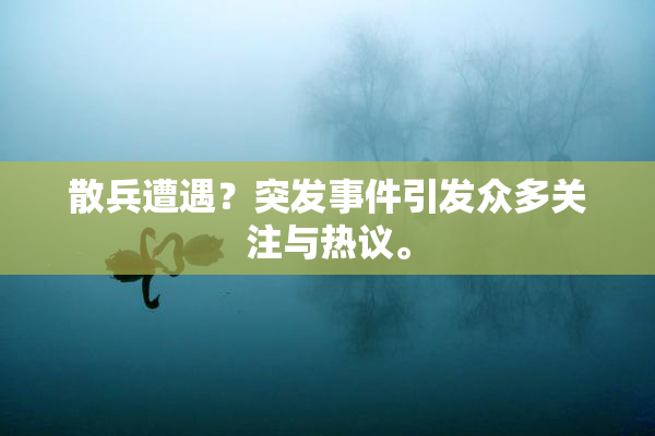 散兵遭遇？突发事件引发众多关注与热议。