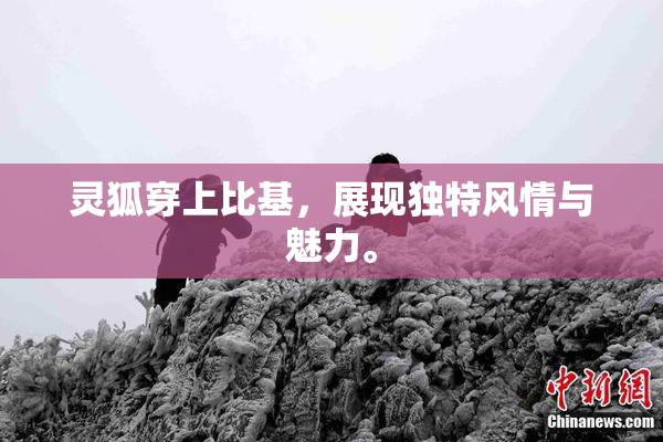 灵狐穿上比基，展现独特风情与魅力。