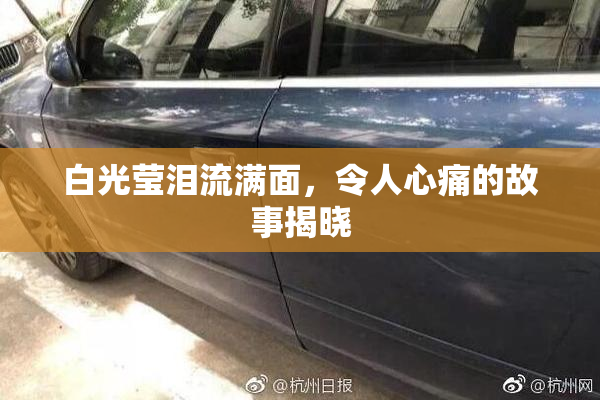 白光莹泪流满面，令人心痛的故事揭晓