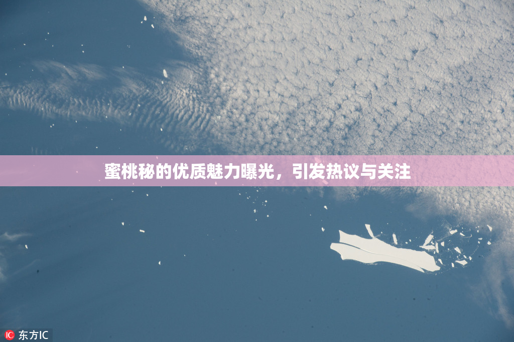 蜜桃秘的优质魅力曝光，引发热议与关注