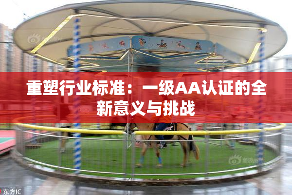 重塑行业标准：一级AA认证的全新意义与挑战