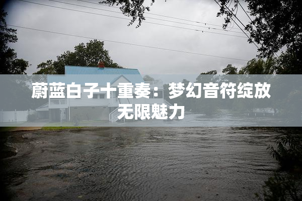 蔚蓝白子十重奏：梦幻音符绽放无限魅力