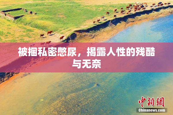 被捆私密憋尿，揭露人性的残酷与无奈