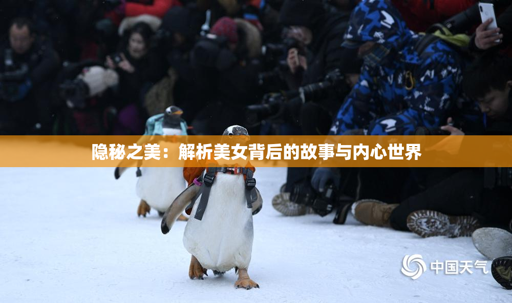 隐秘之美：解析美女背后的故事与内心世界