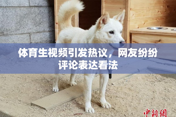 体育生视频引发热议，网友纷纷评论表达看法