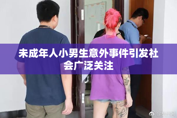 未成年人小男生意外事件引发社会广泛关注