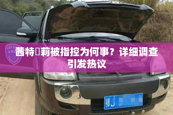 茜特菈莉被指控为何事？详细调查引发热议