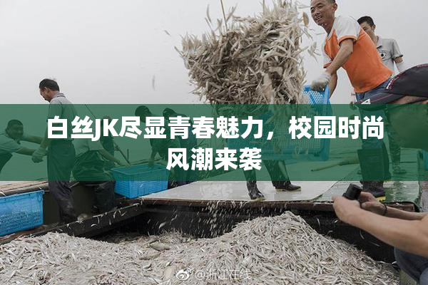 白丝JK尽显青春魅力，校园时尚风潮来袭