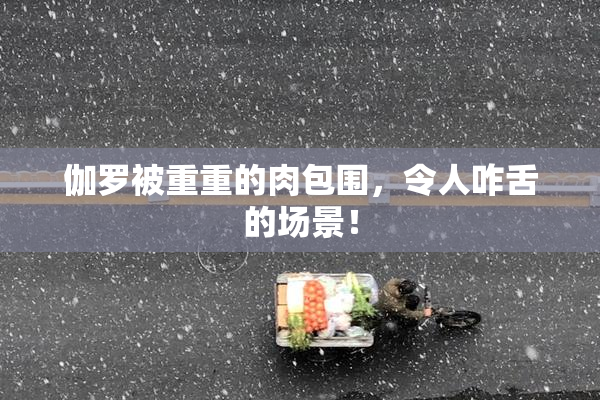 伽罗被重重的肉包围，令人咋舌的场景！