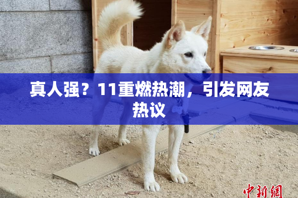 真人强？11重燃热潮，引发网友热议