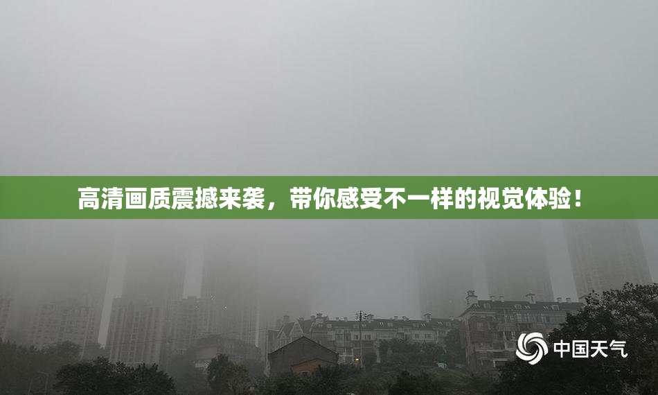 高清画质震撼来袭，带你感受不一样的视觉体验！