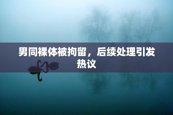 男同裸体被拘留，后续处理引发热议