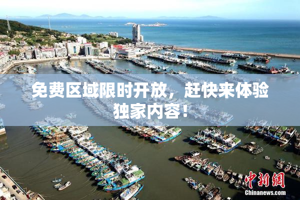 免费区域限时开放，赶快来体验独家内容！
