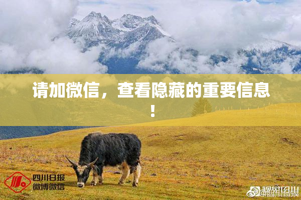 请加微信，查看隐藏的重要信息！